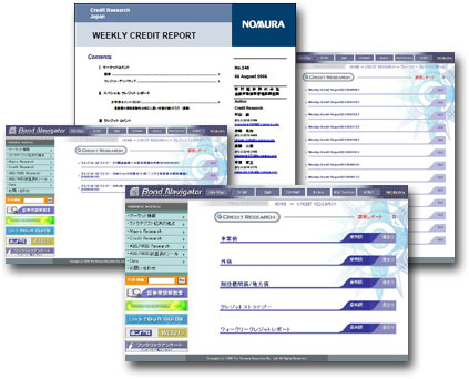 Canadian Credit Reports